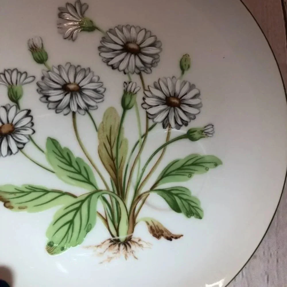 Vintage hand painted daisy plate